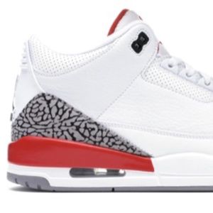 JORDAN 3 RETRO HALL OF FAME